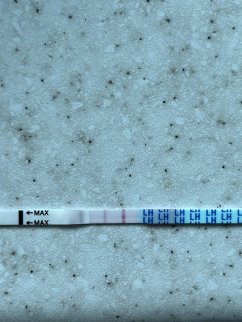 배란테스터를 했는데 배란기 인가요?의 0번 째 이미지
