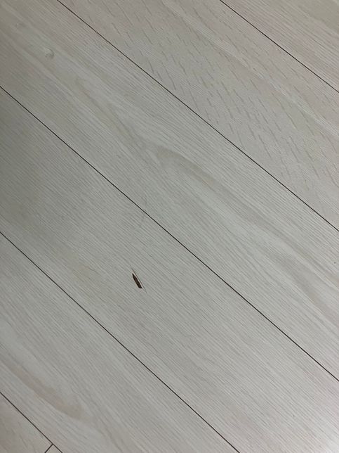 전세2년 월세2년 4년살고 있는데 집 손상된걸 물어줘야 하나요?의 1번 째 이미지