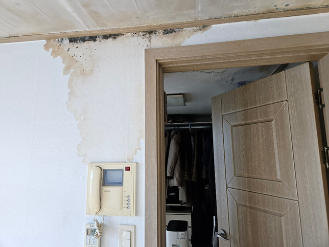 전세계약중도해지시 전세보증금 반환소송을 바로 준비해야될지 궁금합니다.의 1번 째 이미지