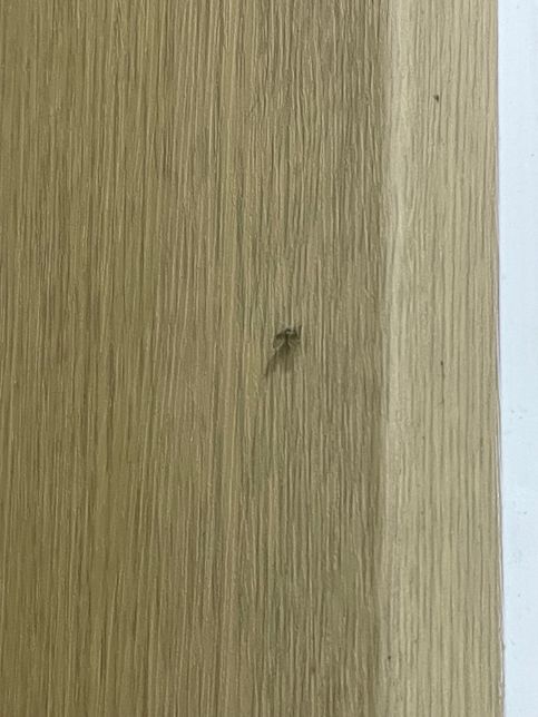 화장실을 가득 채운 날파리 없애는 법 좀 알려주세요의 1번 째 이미지