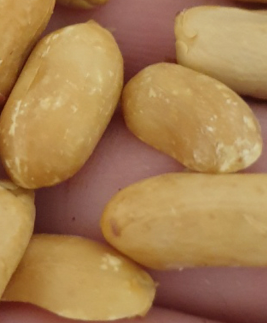 땅콩 하얀점같은게 있은데 산패된건가요의 0번 째 이미지