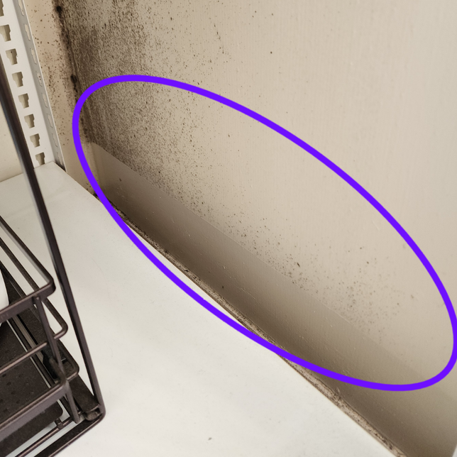 신축 아파트 발코니에 생긴 곰팡이.. 이것도 하자일까요?의 0번 째 이미지