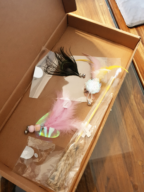 고양이가 장난감을 먹는 것 같아요. 어떻게 하면 좋을까요?의 2번 째 이미지