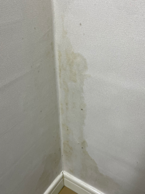 결로로 인한 곰팡이 벽지 임차인이 복구해야하나요?의 0번 째 이미지