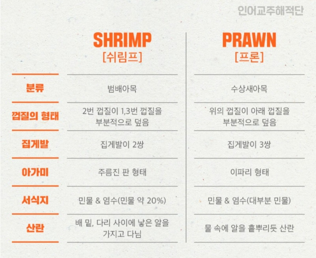 새우를 영어로 뭐라고 부르나요?의 0번 째 이미지
