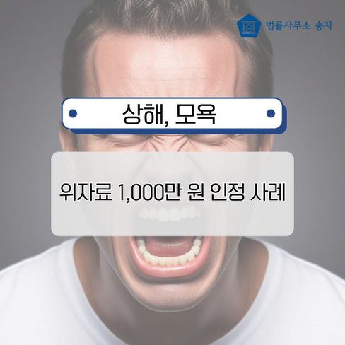 상해·모욕 피해, 위자료 1,000만 원 인정받은 실제 사례